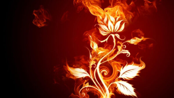 Wallpaper Fire, Background, With, Leaves, Flower, Desktop