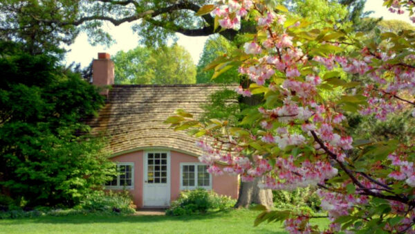 Wallpaper Cottage, House, WALL, With, Desktop, Pink
