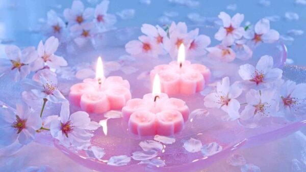 Wallpaper Three, Flowers, Beautiful, Desktop, Candles, Blossom, Pink, Water, Surrounded