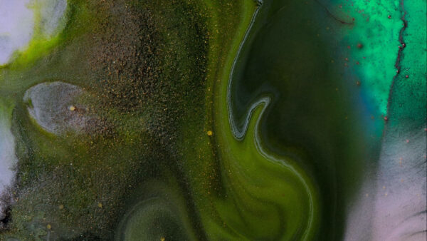 Wallpaper Liquid, Abstract, Ash, Green, Desktop, Paint, Stains