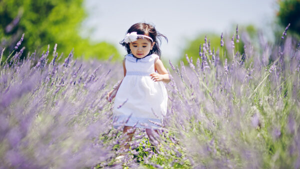 Wallpaper Background, Cute, Blue, White, Little, Between, Walking, Field, Dress, Flowers, Girl, Wearing, Blur