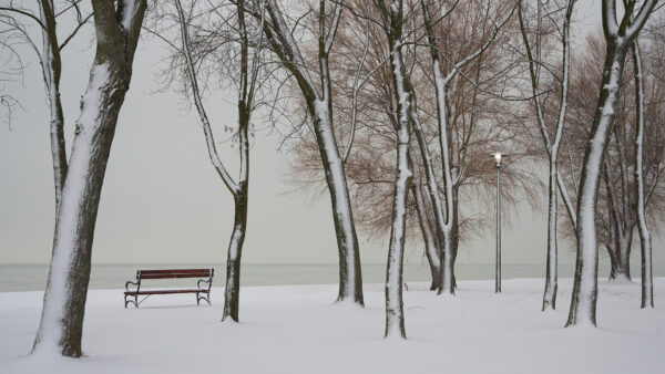 Wallpaper With, Lake, Nature, Near, And, Snow, Desktop, Trees, Landscape, Covered