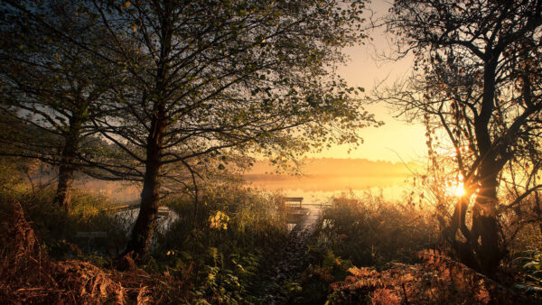 Wallpaper Desktop, Sunset, Trees, River, During, Nature, And, Beautiful