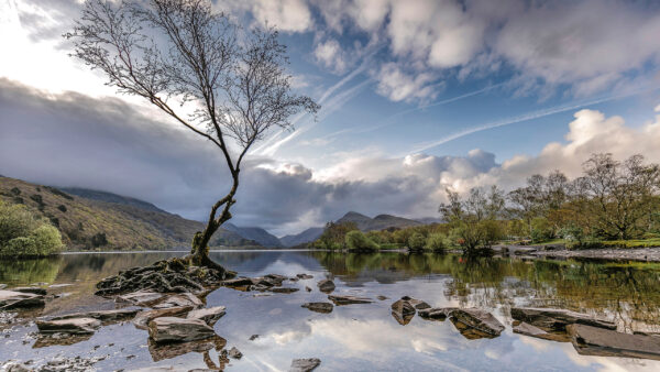 Wallpaper Nature, Sky, Kingdom, Dead, Stones, White, Tree, River, Water, Blue, Wales, United, Under, Clouds