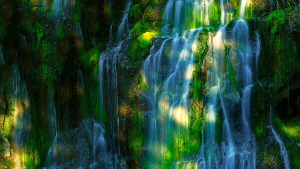 Wallpaper Sunlight, Rock, Covered, Waterfalls, From, With, Algae, Nature