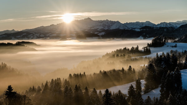 Wallpaper Trees, Nature, Covered, With, Mountains, Background, Sunrays, Fog, Snow