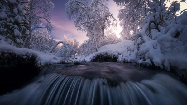 Wallpaper Covered, Nature, Winter, Water, Trees, Forest, Stream, Snow