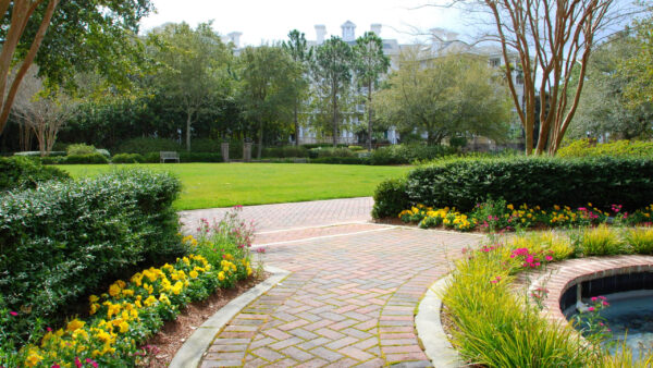 Wallpaper Grass, Flowers, Bushes, Path, Garden, Field, Trees, Yellow, Green