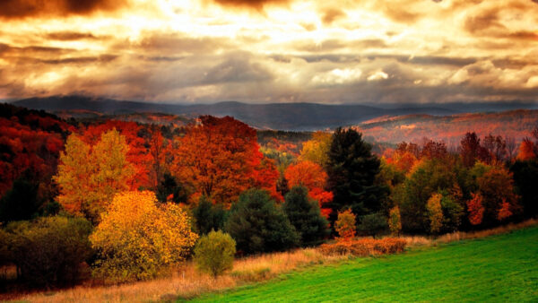 Wallpaper Trees, Clouds, Colorful, Black, Field, Grass, Sky, White, Landscape, Under, View, Mountain, Autumn, Green