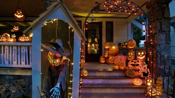 Wallpaper Lights, Halloween, Pumpkins, Skeleton
