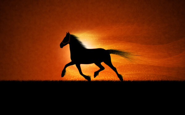 Wallpaper Running, Horse