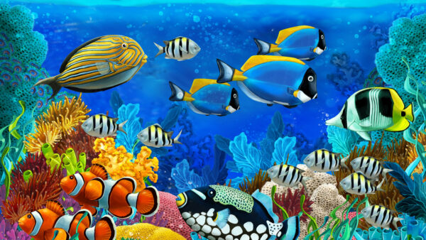 Wallpaper Deep, Animals, Ocean, Coral, Fishs, Desktop