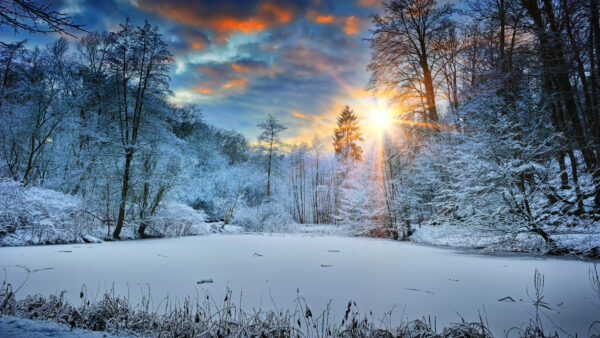 Wallpaper Snow, Landscape, Mobile, Sunbeams, Nature, Winter, Desktop, Trees
