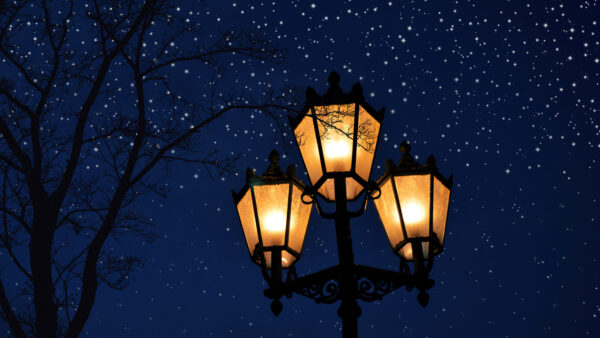 Wallpaper Stars, Background, Tree, Desktop, Blue, Post, Lamp, Sky, Leaves, Without, Nature, And, Mobile