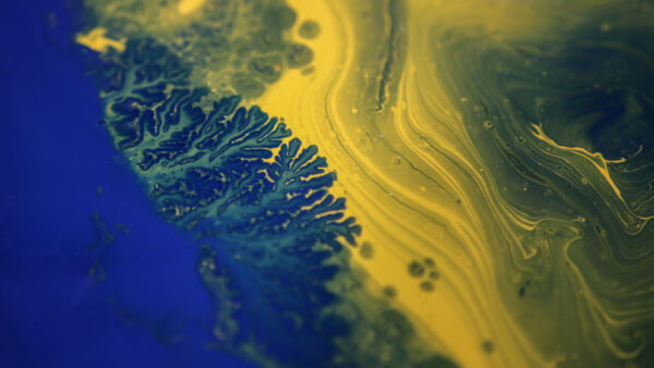 Wallpaper Liquid, Stains, Blue, Abstract, Yellow, Mobile, Desktop, Paint