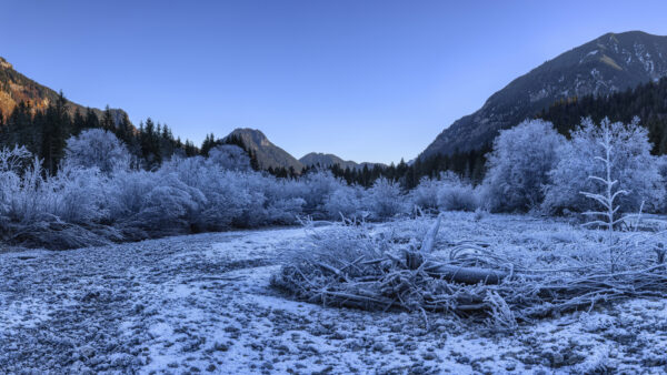Wallpaper With, Background, Winter, Trees, Sky, Snow, Blue, Landscape, And, Desktop, Mountain, Mobile