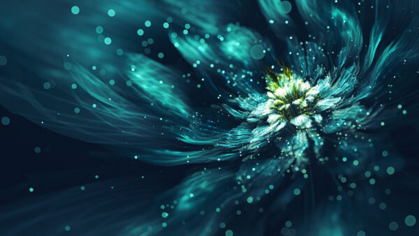 Wallpaper Flower, Desktop, Blue, Bokeh, Fractal, Abstract