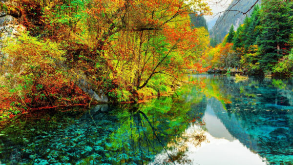 Wallpaper Trees, Reflection, Autumn, Daytime, Mountain, Greenery, Colorful, Beautiful, During, Lake