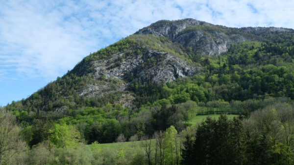 Wallpaper Mobile, Mountains, Peak, Landscape, Desktop, Trees, Nature, Clouds, Under, Sky, View, White