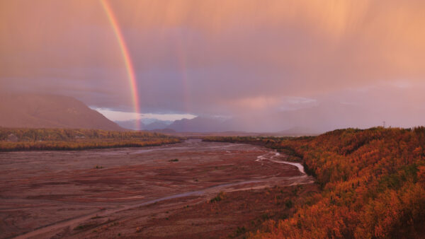 Wallpaper Green, Rainbow, Mobile, Yellow, Mountains, Desktop, Nature, Trees, Swamp, Autumn