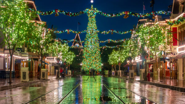 Wallpaper Disneyland, Lights, Decorated, Christmas, Desktop, Tree