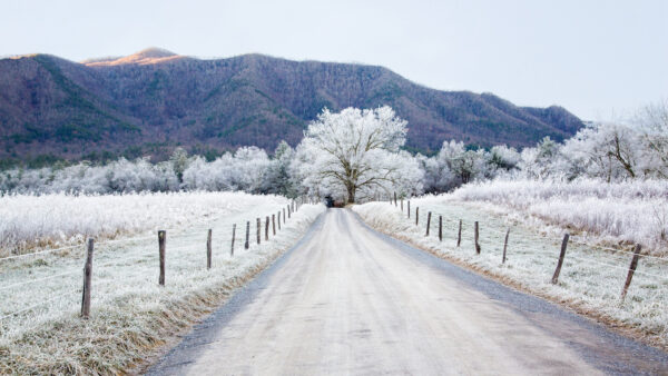 Wallpaper Trees, Background, Landscape, Blue, Fence, Winter, Mountain, Grass, Field, View, Sky, And, With, Covered, Snow