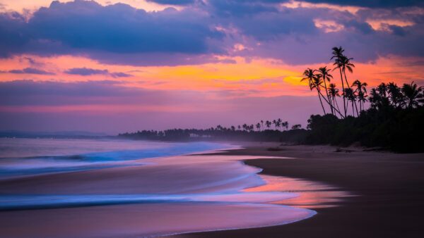 Wallpaper Beautiful, Sand, Under, Palm, Beach, White, Clouds, Yellow, Trees, Sky, Ocean, Waves, Sunset, During, Black