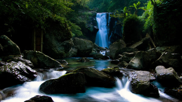 Wallpaper Stones, Trees, Nature, River, Rocks, Waterfall, Beautiful, Pouring, Banana
