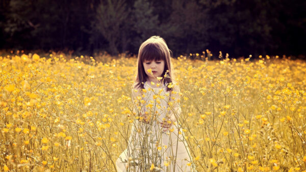 Wallpaper Cute, Field, Girl, Standing, Yellow, Around, Child, Desktop, Flower