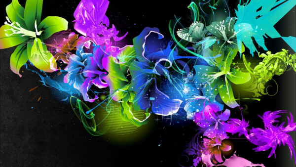 Wallpaper Flowers, Background, Pattern, Colorful, Black
