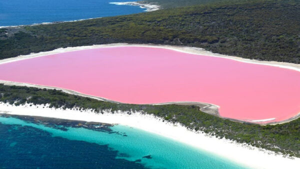 Wallpaper Australia, Bubblegum, Travel, Hillier, Lake, Pink, Aerial, View