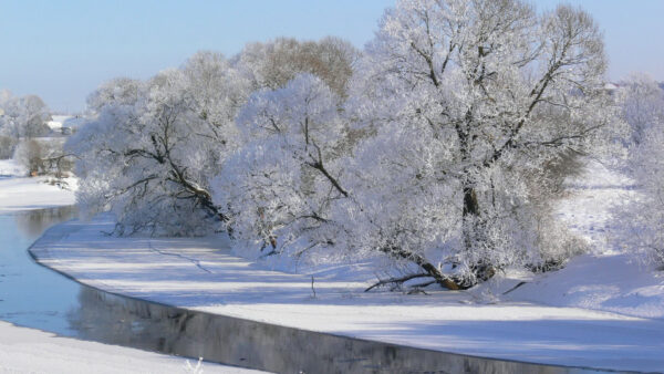 Wallpaper Sky, Shadows, White, Winter, Hoarfrost, Trees, River, Background