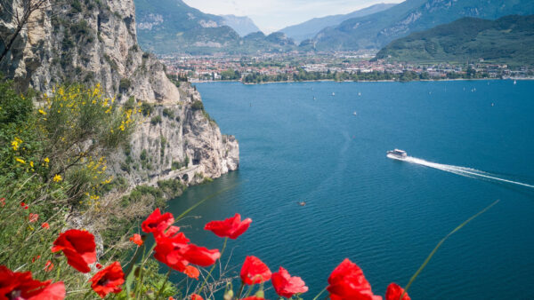 Wallpaper View, Greenery, Flowers, Mountains, Ocean, Red, Beautiful, City, And, Closeup, Nature, Poppy, Scenery, Boats