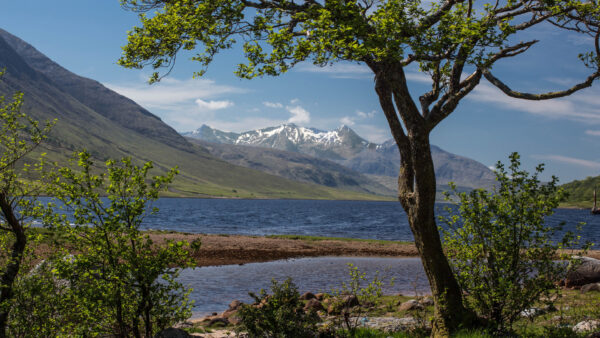 Wallpaper Slope, Nature, Tree, River, Green, Mountain, Greenery, Bushes