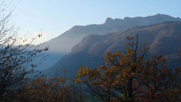 Wallpaper Blue, Nature, Mobile, Slope, Desktop, Background, Sky, Tree, Mountains, Yellow, Leaves, Branches