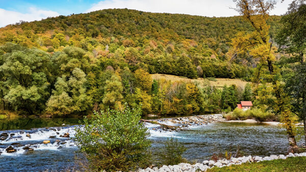 Wallpaper Beautiful, Trees, River, Autumn, Scenery, Forest, Colorful, Stream, Mountains, Nature