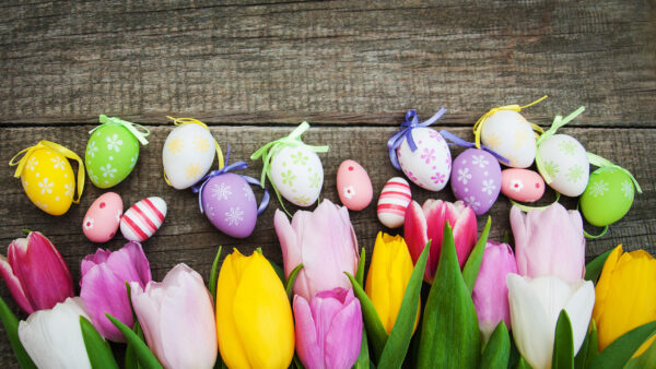 Wallpaper Easter, Background, Happy, Colorful, Board, Wood, Flowers, Eggs, Tulip